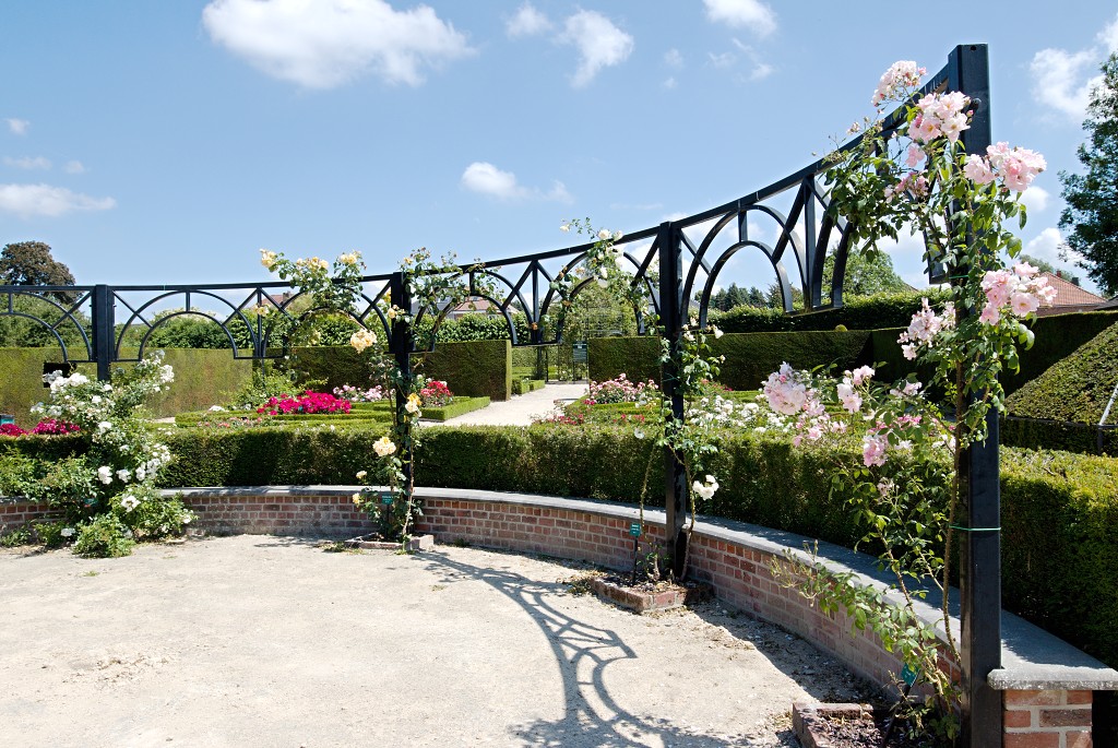 Rozentuin van Coloma